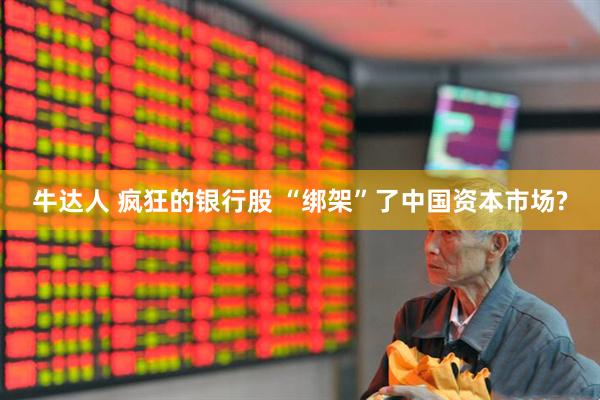 牛达人 疯狂的银行股 “绑架”了中国资本市场?