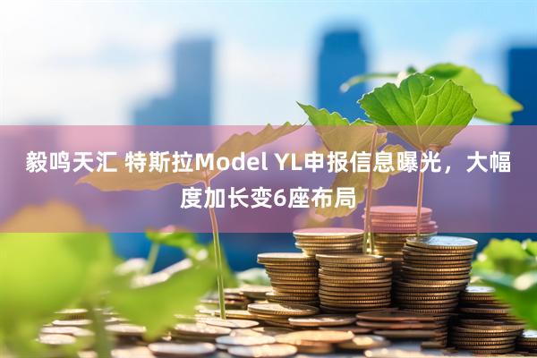 毅鸣天汇 特斯拉Model YL申报信息曝光，大幅度加长变6座布局