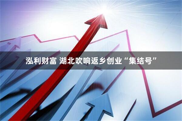 泓利财富 湖北吹响返乡创业“集结号”