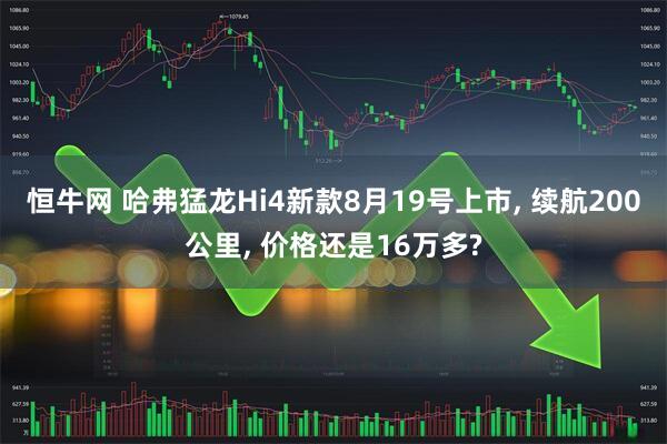 恒牛网 哈弗猛龙Hi4新款8月19号上市, 续航200公里, 价格还是16万多?