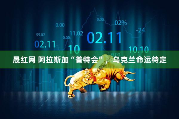 晟红网 阿拉斯加“普特会”，乌克兰命运待定