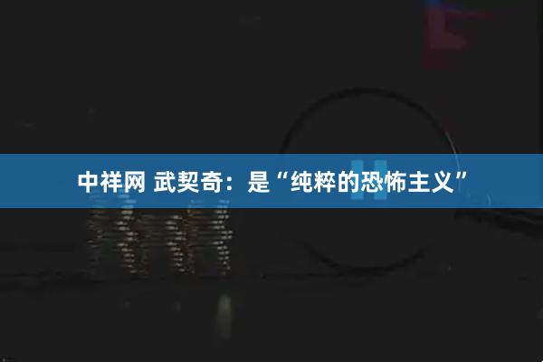 中祥网 武契奇：是“纯粹的恐怖主义”