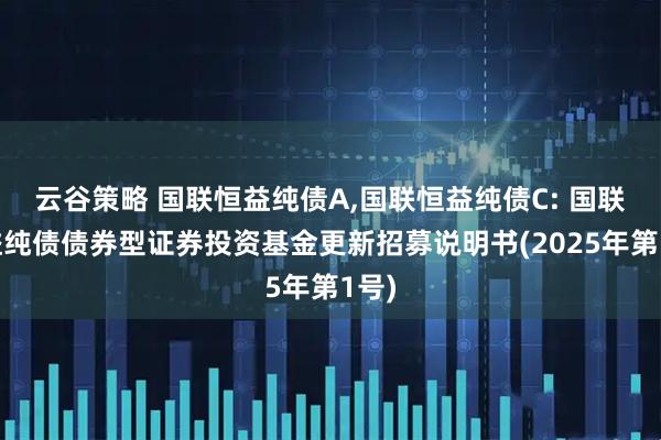 云谷策略 国联恒益纯债A,国联恒益纯债C: 国联恒益纯债债券型证券投资基金更新招募说明书(2025年第1号)