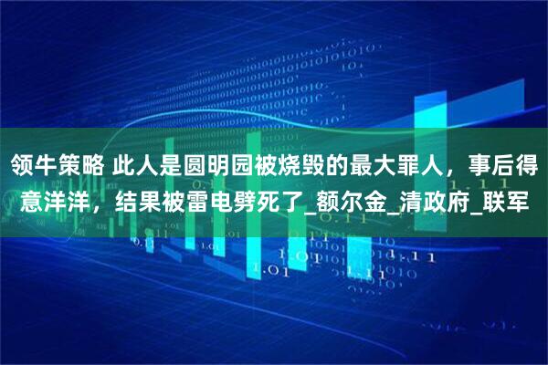 领牛策略 此人是圆明园被烧毁的最大罪人，事后得意洋洋，结果被雷电劈死了_额尔金_清政府_联军